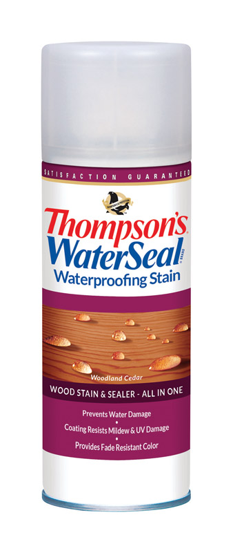 Thompson's WaterSeal Transparent Woodland Cedar Waterproofing Wood Stain and Sealer 12 oz