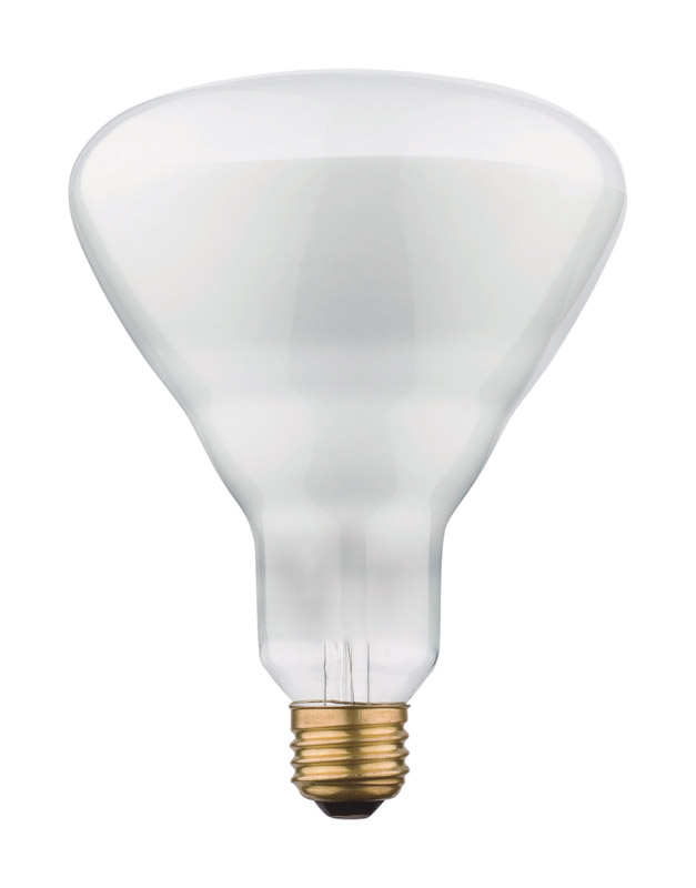 Westinghouse 65 W BR40 Floodlight Incandescent Bulb E26 (Medium) Soft White 1 pk