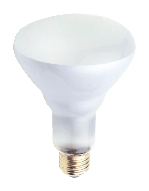 Westinghouse 65 W BR30 Floodlight Incandescent Bulb White 2 pk