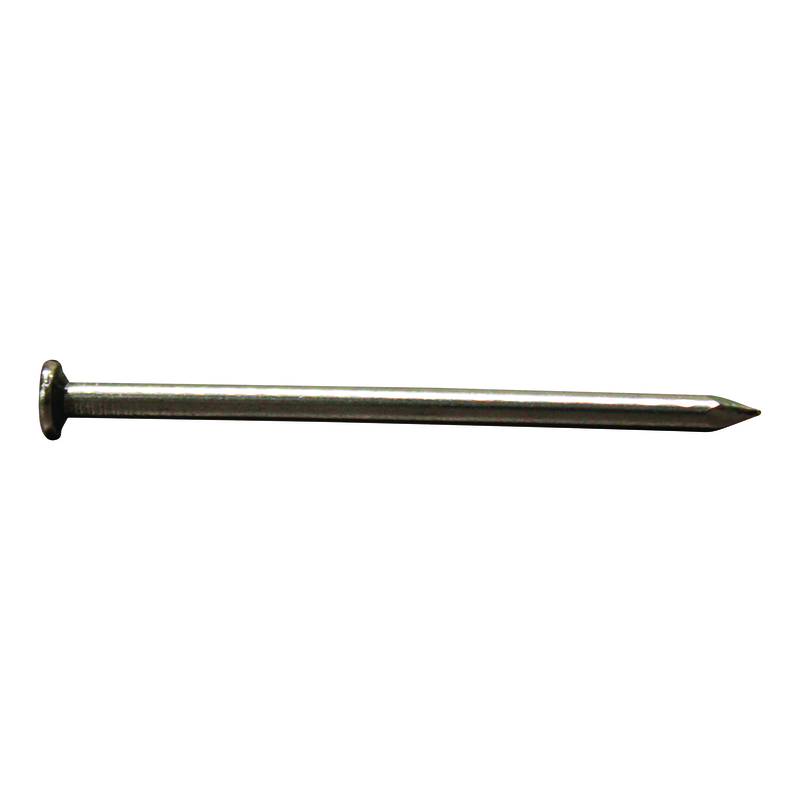 Stallion 10D 3 in. Common Bright Steel Nail Flat Head 1 lb