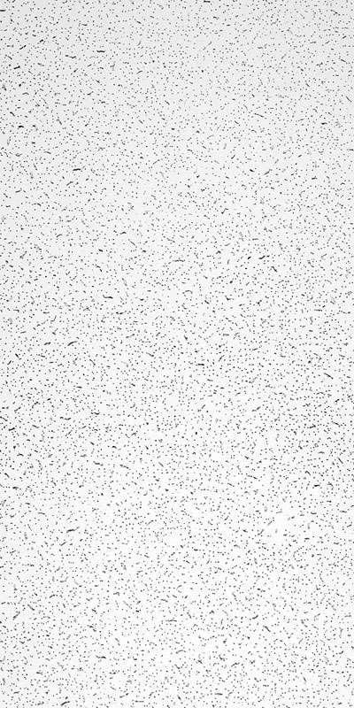 USG Ceilings Plateau 48 in. L X 23.88 in. W 0.5625 in. Square Edge Ceiling Tile 1 pk