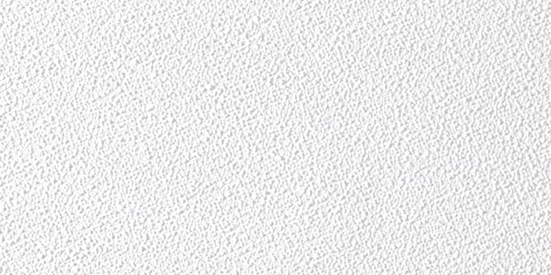 USG Sheetrock 4 ft. L X 2 ft. W 0.5 in. Square Edge Ceiling Panel 1 pk