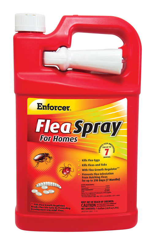 Enforcer Flea Spray for Homes Insect Killer Liquid 1 gal