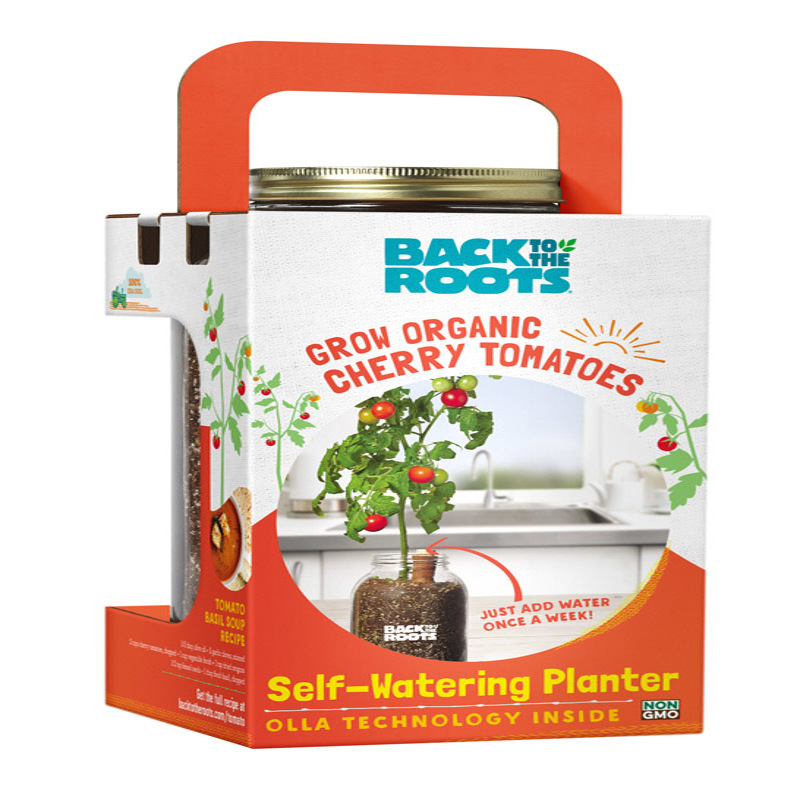 Back to the Roots Cherry Tomato Grow Kit 1 pk