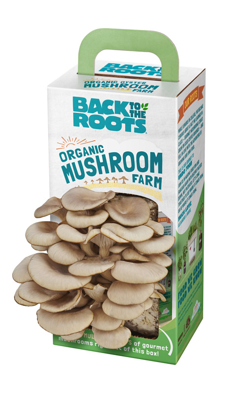 Back to the Roots Mushroom Grow Kit 1 pk