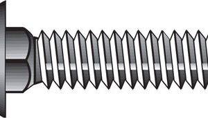 Hillman 1/4 in. X 2 in. L Stainless Steel Carriage Bolt 50 pk